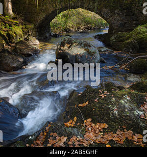 Il vecchio ponte di pietra sul torrente nel bosco sulla splendida e soleggiata giornata autunnale.tranquilla scena di natura.paesaggio idillico della Scozia.Il movimento di acqua che scorre. Foto Stock