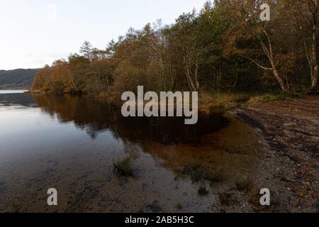 Maestoso paesaggio della Scozia.alberi con foglie cambiando colore crescente sulla riva del lago di Loch Lomond presso sunrise in autunno.tranquilla natura scena. Foto Stock