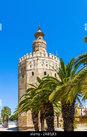 La Torre del Oro o oro torre costruita nel XIII secolo (1220-1221) sul fiume Guadalquivir in Siviglia Spagna Foto Stock