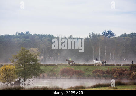 I cavalli di essere cavalcato in un autunnale di Richmond Park Foto Stock