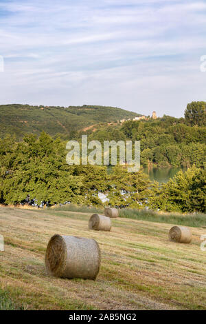 Balle di fieno in un campo vicino a Lac du Causse, Correze, Francia Foto Stock