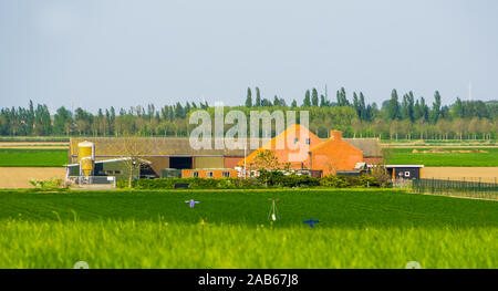 Azienda agricola con terreni agricoli in tholen, paesaggio rurale e architettura, Città in zeeland, Paesi Bassi Foto Stock