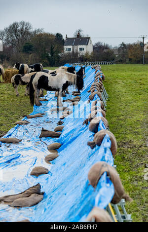 La periferia di alluvione ha colpito villaggio di Fishlake vicino a Doncaster nello Yorkshire meridionale. Foto Stock