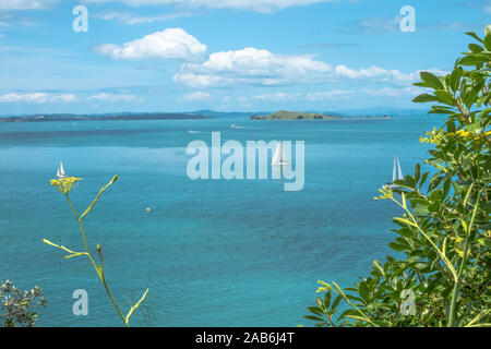 Vista di un oceano porto dalla Devonport. L'estate. Auckland Nuova Zelanda Foto Stock