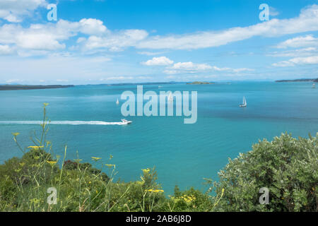 Vista di un oceano porto dalla Devonport. L'estate. Auckland Nuova Zelanda Foto Stock