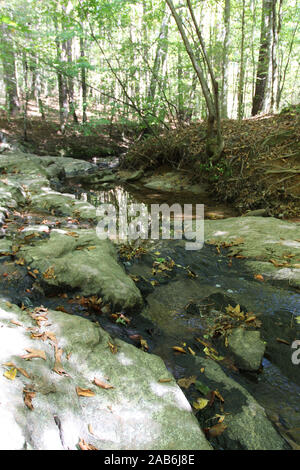 Un banco roccioso e streambed su Sal diramazione del sentiero in William B. Umstead State Park, Raleigh, North Carolina, STATI UNITI D'AMERICA Foto Stock