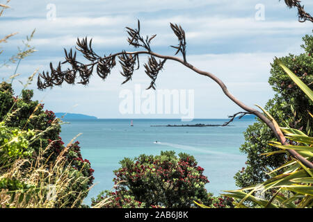 Vista di un oceano porto dalla Devonport in Auckland Nuova Zelanda Foto Stock