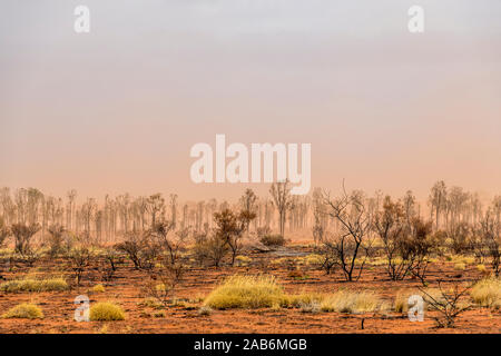 Tempesta di sabbia in Australia outback dopo bushfires nell'area Foto Stock