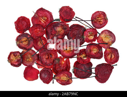 Foresta Natale sfondo costituito di rosso secco caglio piccole mele frutta. Isolato su bianco studio macro Foto Stock