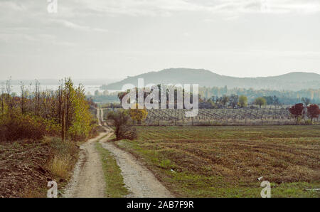 Strada sterrata che conduce giù per la collina. Campo di raccolto nella parte anteriore, nebbia sulle montagne e sul lago in background. Foto d'autunno. Foto Stock