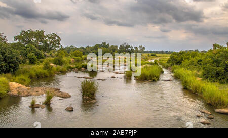 Panorama del Fiume Sabie incrocio vicino Skukuza camp nel parco nazionale Kruger Sud Africa Foto Stock