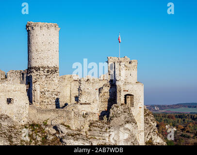 Il castello di Ogrodzieniec, Podzamcze, Sentiero delle aquile' nidi, Krakow-Czestochowa Upland (Polacco Jura), voivodato di Slesia, Polonia, Europa Foto Stock