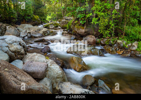 Il fiume Savegre (Rio Savegre), San Gerardo de Dota, San Jose Provincia, Costa Rica, America Centrale Foto Stock