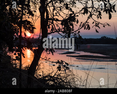 Tramonto sul fiume Luangwa nel sud Luangwa National Park, Zambia, Africa Foto Stock