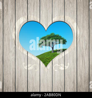 Die Sicht durch eine Holzplanke auf eine Wiese Foto Stock