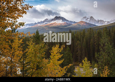 La gamma della montagna di Morant la curva nel fogliame di autunno, il Parco Nazionale di Banff, Sito Patrimonio Mondiale dell'UNESCO, Alberta, montagne rocciose, Canada, America del Nord Foto Stock