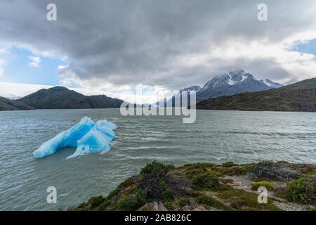 Iceberg sul Lago grigio, con Cerro Paine Grande e ghiacciaio Grey in background, Parco Nazionale Torres del Paine, Cile, Sud America Foto Stock
