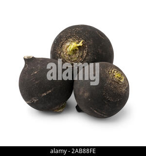 Crudo fresco nero intero ravanelli isolati su sfondo bianco Foto Stock