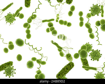 Rendering 3d Illustrazione medica di batteri e virus Foto Stock