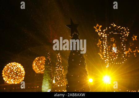 Berlino, Germania. 22 Novembre, 2019. 22.11.2019, Berlin: una stella su un albero di Natale in Tierpark Berlin Credito: Georg Wenzel/dpa-Zentralbild/ZB/dpa/Alamy Live News Foto Stock