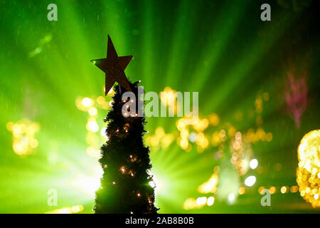 Berlino, Germania. 22 Novembre, 2019. 22.11.2019, Berlin: una stella su un albero di Natale in Tierpark Berlin Credito: Georg Wenzel/dpa-Zentralbild/ZB/dpa/Alamy Live News Foto Stock