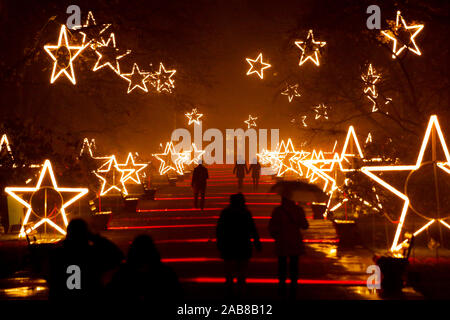 Berlino, Germania. 22 Novembre, 2019. 22.11.2019, Berlin: visitatori presso il Tierpark Berlin in stato d'animo di Natale Credit: Georg Wenzel/dpa-Zentralbild/ZB/dpa/Alamy Live News Foto Stock