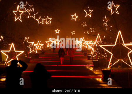 Berlino, Germania. 22 Novembre, 2019. 22.11.2019, Berlin: visitatori presso il Tierpark Berlin in stato d'animo di Natale Credit: Georg Wenzel/dpa-Zentralbild/ZB/dpa/Alamy Live News Foto Stock
