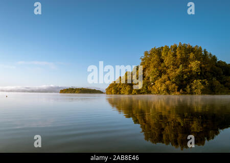 I colori autunnali sul Loch Lomond banche, Balmaha, Scozia Foto Stock