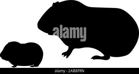 Silhouette di cavia e giovane poco di cavia. Vector illustrator Illustrazione Vettoriale