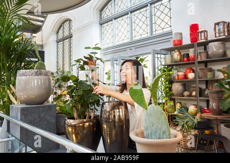 Fioraio di giovani piante di decorazione e vasi nel centro giardino Foto Stock