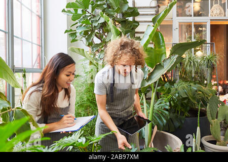 Fioraio partecipante esaminando la formazione con gli esaminatori nel negozio di fiori Foto Stock