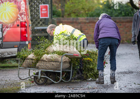 Tenbury Wells, Regno Unito. 26 novembre 2019. Nonostante il continuo clima umido e triste, nulla attenua lo spirito di questi acquirenti britannici che si riversano nella città di Tenbury Wells nel Worcestershire per l'annuale asta Mistletoe and Holly. Con i coltivatori del Regno Unito che offrono un'incredibile selezione di lotti appena tagliati e carichi di bacche in questo evento speciale, i rivenditori viaggiano da lontano e da tutto il mondo per garantire il meglio del fogliame festivo per il conto alla rovescia della loro attività fino a Natale. Gli acquirenti tornano ai loro veicoli, carrelli che traboccano di acquisti di sempreverdi premium! Crediti: Lee Hudson/Alamy Live News Foto Stock