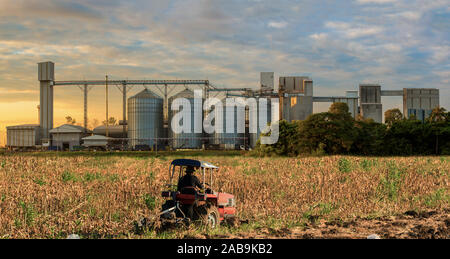 Silos agricoli - Edificio Esterno, stoccaggio ed essiccazione di grani, frumento, mais, soia, girasole contro il cielo blu con i trattori agricoli in avanti Foto Stock