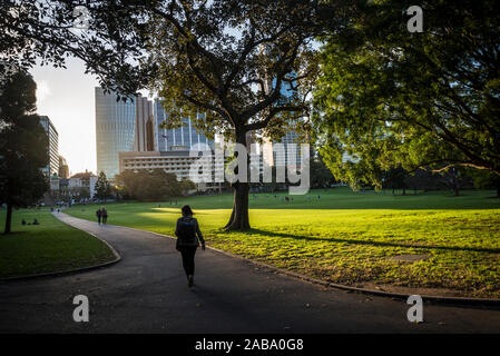 Dominio, un patrimonio-elencati di 34 ettari di spazio aperto si trova sulla frangia orientale del quartiere finanziario centrale di Sydney, Sydney, Australia Foto Stock