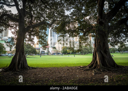 Dominio, un patrimonio-elencati di 34 ettari di spazio aperto si trova sulla frangia orientale del quartiere finanziario centrale di Sydney, Sydney, Australia Foto Stock