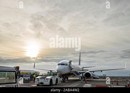 Ryanair aereo Boeing 737 sul piazzale, asfaltata serviti da Swissport all aeroporto di Cork, Irlanda Foto Stock
