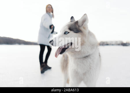 Felice giovane ragazza che gioca con siberian husky cane in winter park. Essi a piedi su un lago ghiacciato Foto Stock