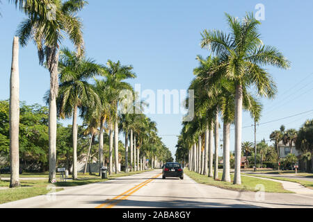 Traffico e palme su McGregor Boulevard a Fort Myers, Florida, Stati Uniti d'America Foto Stock