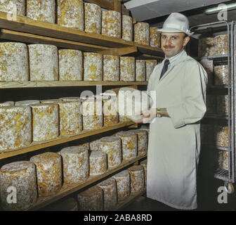 La stagionatura e blu di maturazione del formaggio Stilton conservato a lungo Clawson latteria, lunga Clawson, melton mowbray, leicestershire, England, Regno Unito Foto Stock