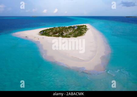 Vista aerea, isola disabitata per escursioni, isole Maldive, escursione isola con ampia spiaggia di sabbia, Maldive Foto Stock
