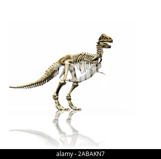 Una illustrazione di un enorme t-rex skeleton Foto Stock