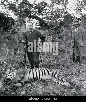 Ritratto di mezzitoni di Sua Altezza il Principe di Galles (successivamente George V) con una tigre shot vicino a Hyderabad sulla sua visita ufficiale in India nel 1906. Foto Stock