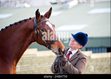 Llanelwedd, Powys, Regno Unito. 26 Nov, 2019. Eventi a cavallo avrà luogo il secondo giorno del Royal Welsh Winter Fair in Powys, Regno Unito. Credito: Graham M. Lawrence/Alamy Live News Foto Stock