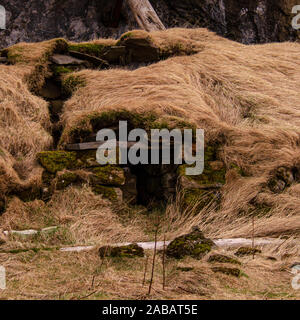 Vecchia casa di pietra antica distrutta Viking ricoperta con giallo erba secca Foto Stock