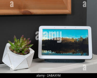 Nov 2019, UK - Google nido sul mozzo da caminetto con foto in mostra con decorazioni vegetali Foto Stock