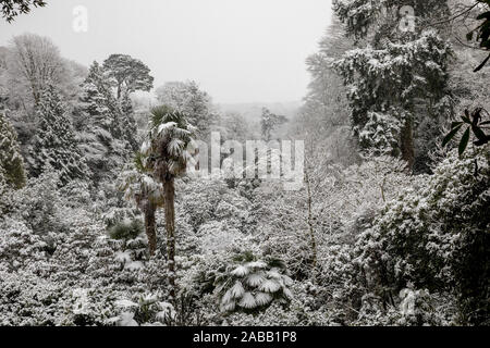 Giardino Trebah; neve; Cornovaglia; Regno Unito Foto Stock