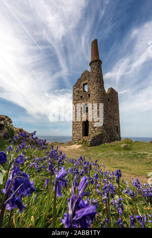 Wheal Owles; St appena; Cornovaglia; Regno Unito Foto Stock