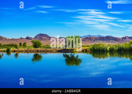 Tree riflessioni su un laghetto di montagna a Henderson Bird Visualizzazione di preservare Foto Stock