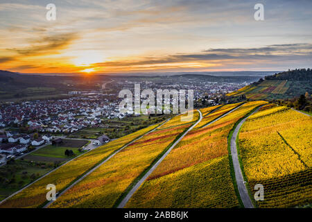 Vigneti vicino a Metzingen / Neuhausen in Germania Foto Stock