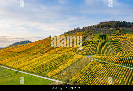 Vigneti vicino a Metzingen / Neuhausen in Germania Foto Stock